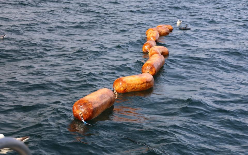 The sausage sculptures were placed in the water across the Irish Sea border - News Scan