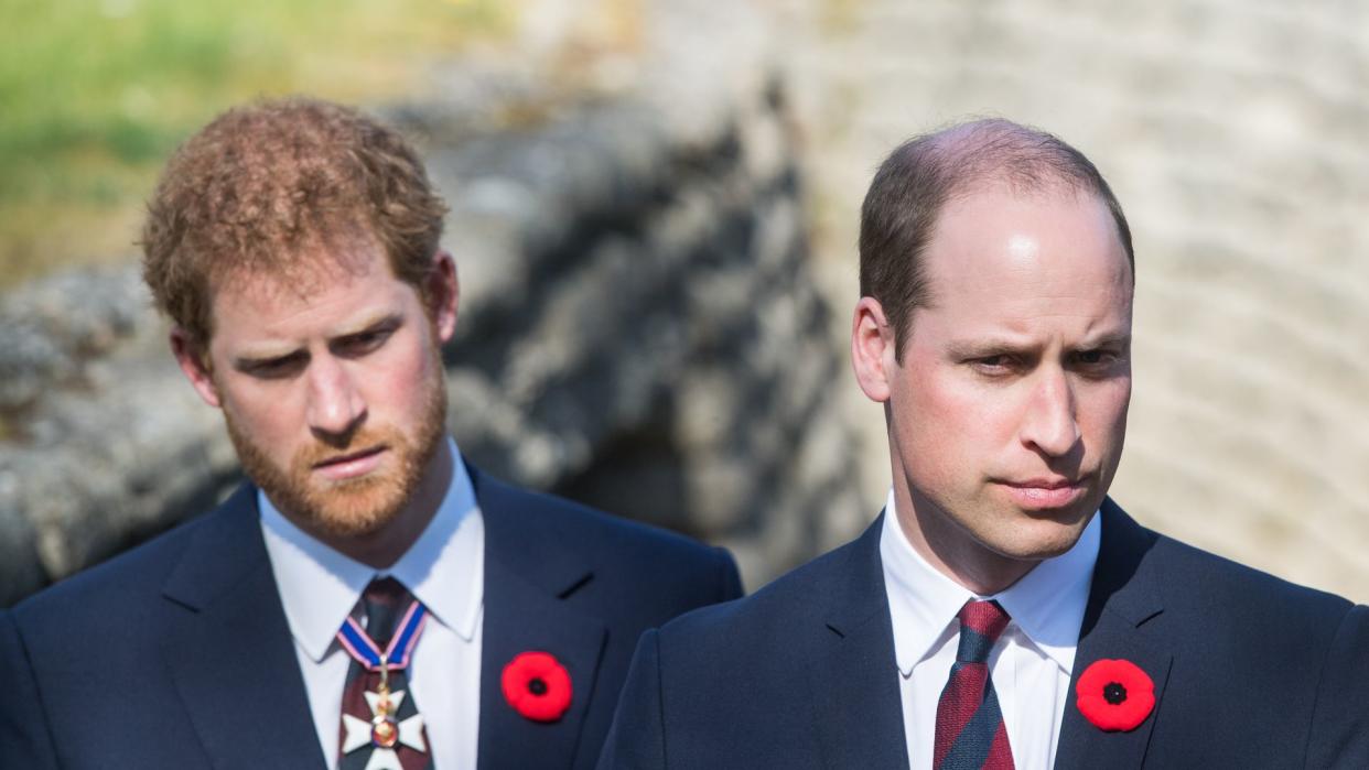 prince harry and prince william 100th anniversary of vimy ridge