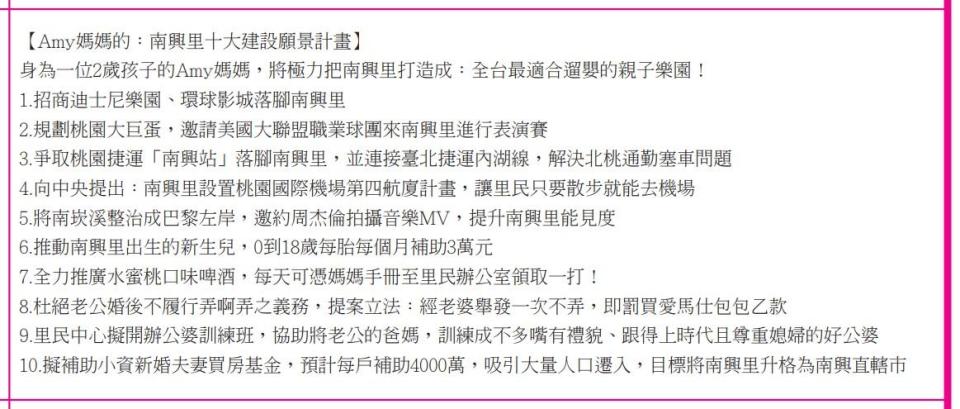 桃園市蘆竹區南興里里長候選人洪嘉璘列出10項奇葩政見。（圖／翻攝自選舉公報）