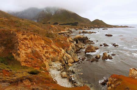 Fires burn at Garrapata State Park next to the Pacific Ocean during the Soberanes Fire north of Big Sur, California, July 31, 2016. REUTERS/Michael Fiala