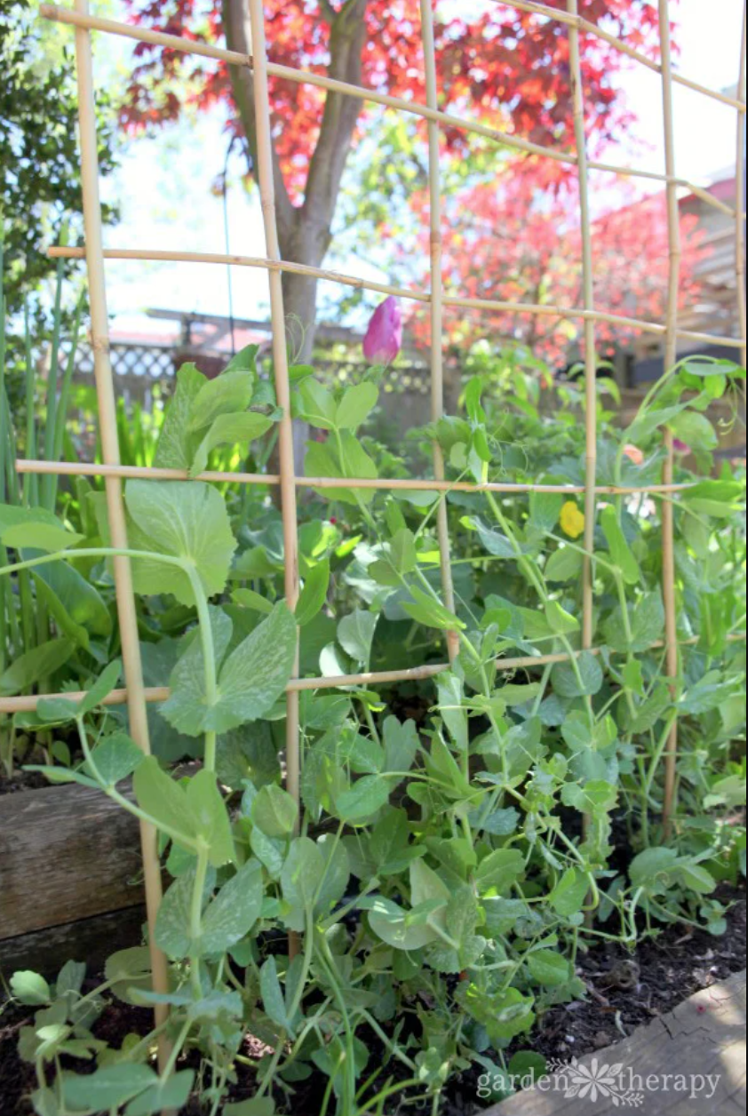 garden fence ideas woven bamboo trellis fence