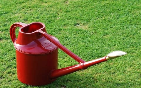 The Haws red deluxe plastic watering can - Credit: Waitrose Garden