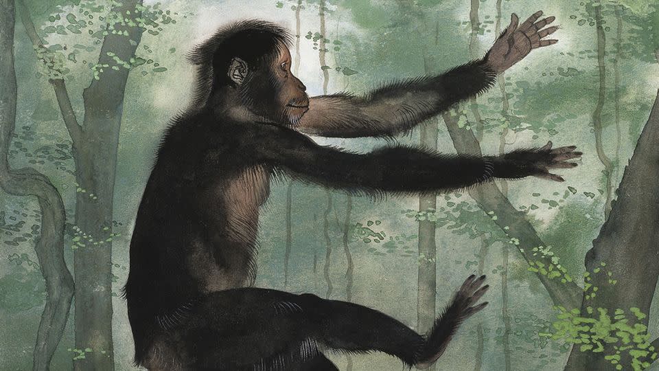 Les fossiles montrent que l’ancien primate Proconsul africanus, montré dans l’illustration ci-dessus, vivait dans les arbres sans queue.  - Le Musée d'Histoire Naturelle/Alay Stock Photo