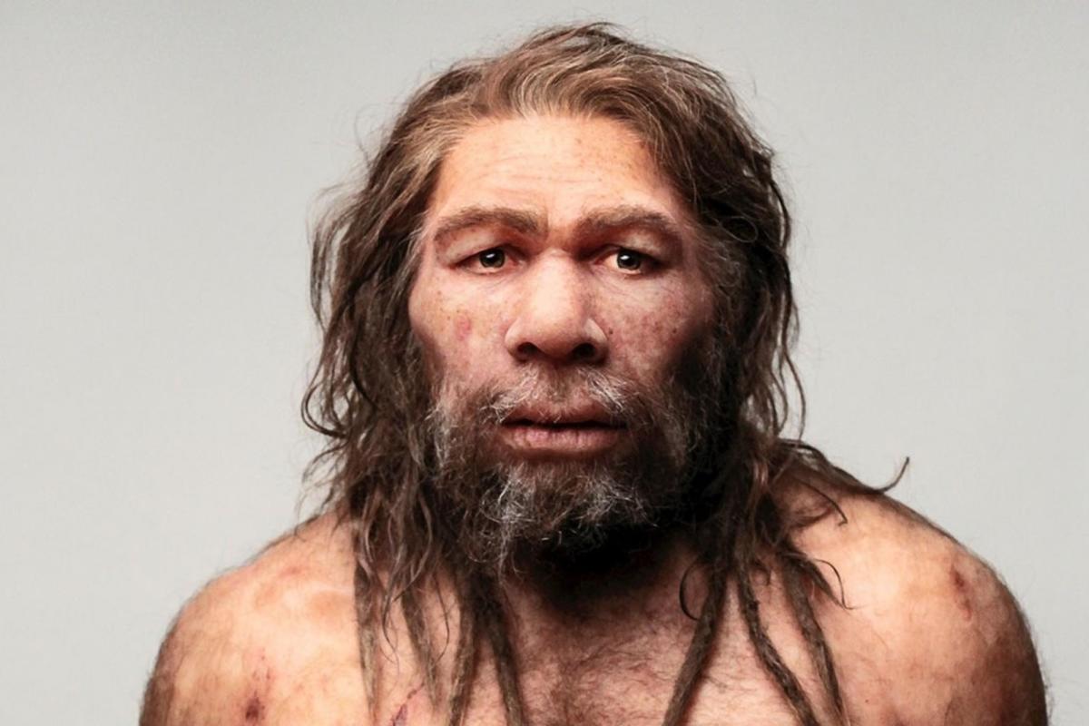 Una Nueva Investigación Arqueológica Ahonda En La Misteriosa Desaparición De Los Neandertales 9945