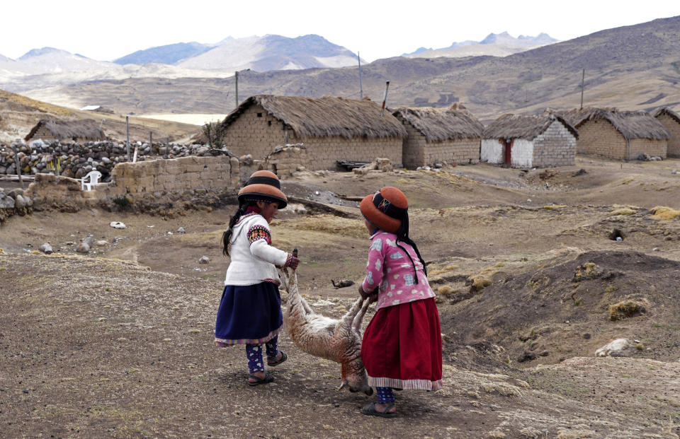 Girls carry a dying sheep amid an ongoing drought in the Cconchaccota community of the Apurimac region in Peru, on Nov. 26, 2022. (AP Photo/Guadalupe Pardo)