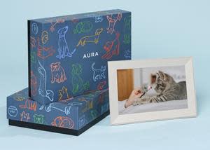 Aura Buddy allows pet owners to stay close and share the memories from their favorite furry family members.