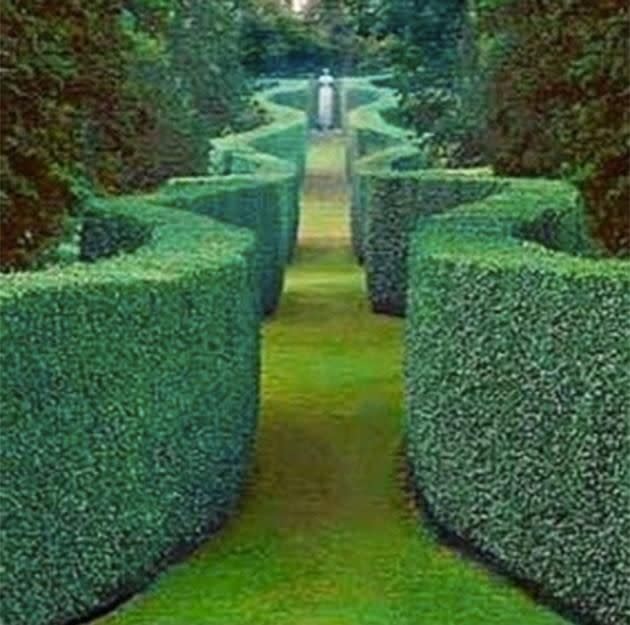 The event promised a lush maze in a secret Sydney location. Photo: Facebook