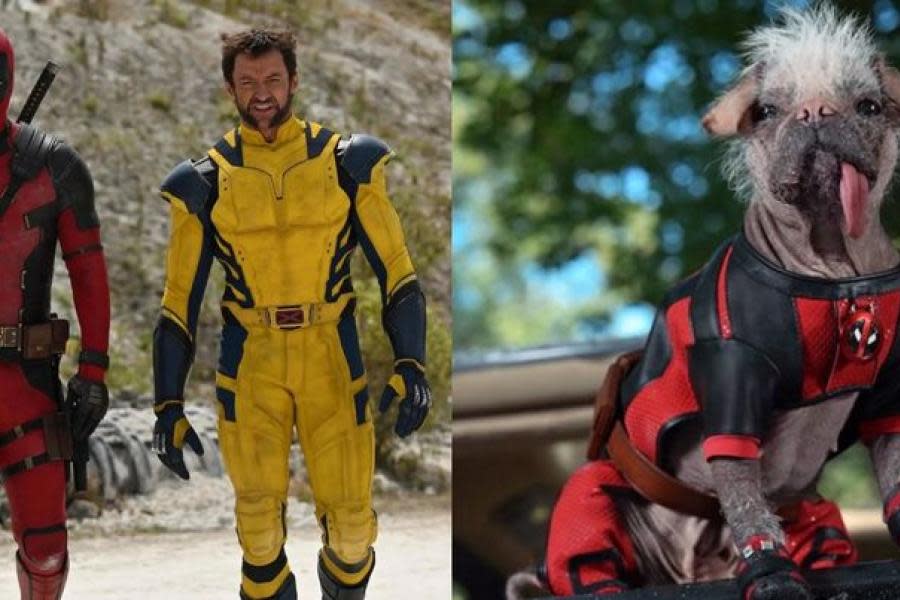 Deadpool 3: Ryan Reynolds confirma la participación de Dogpool 