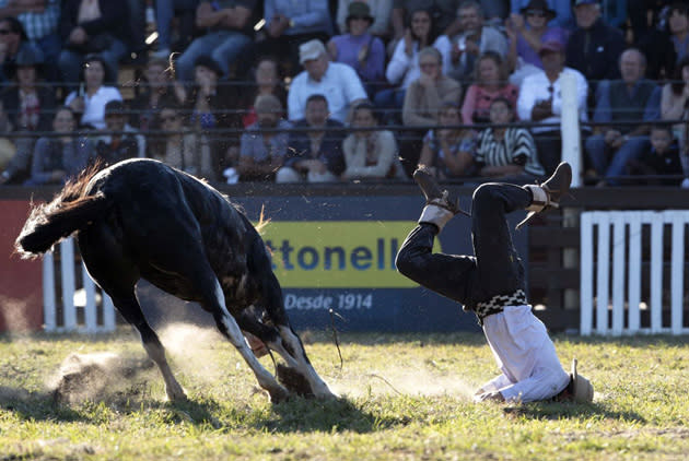 <b>28 mars</b><br> Un « gaucho » n’a pas réussi à avoir le dessus sur un cheval sauvage lors de célébrations à Montevideo en Uruguay. <br> (Reuters/Andres Stapff)