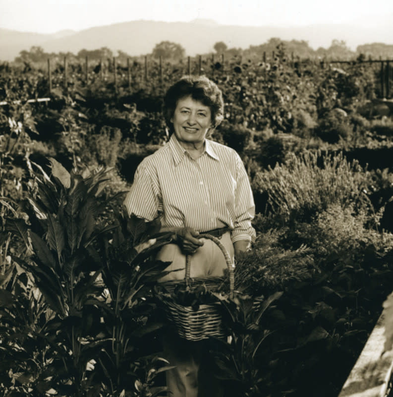 <p>Courtesy of Cakebread Cellars</p><p><em>"I feel fortunate to work as a winemaking team with Jane and Sally because we are very supportive of each other. We openly share our collective knowledge, experience and ideas, and we are all very dedicated to learning and improving as winemakers. Jane and Sally are exceptionally talented winemakers who are very humble, authentic and grounded, and we have established a lot of mutual respect and trust. It’s so helpful and rewarding to taste our wines together because we share honest feedback while still being each other’s biggest fans</em>." -<strong>Niki Williams, Winemaker, Cakebread Cellars:</strong></p><p>"<em>Our all-female winemaking team is very collaborative, and that dynamic is rooted in mutual respect, shared expertise and a collective drive for innovation. Our strength lies in both our ability to craft exceptional wines and weave our unique perspectives and backgrounds together to enrich the entire winemaking process. This type of environment sets a great precedent for inclusivity and mentorship within the wine industry, and we hope our team serves as a point of inspiration for other aspiring female winemakers to pursue their passions and contribute their voices</em>." -<strong>Sally Johnson Blum, Winemaker, Mullan Road Cellars & Cakebread Cellars</strong></p><p><strong>"</strong><em>For me, having so many women in production at Cakebread Cellars on both the viticulture and winemaking sides has been the icing on the cake of my career. Working with Sally and Niki and being able to learn, share knowledge, and uplift each other highlights the best of our industry</em>." -<strong>Jane Dunkley, Winemaker, Bezel Wines & Cakebread Cellars</strong></p>