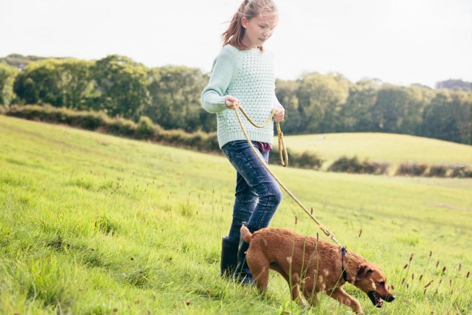 Light physical activity, such as walking a dog, was associated with better cardiac function