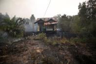 The Wider Image: Indonesia's firefighters on frontline of Borneo's forest blazes