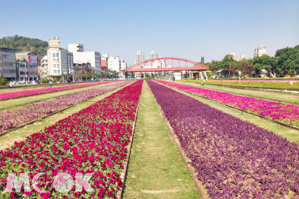 哈瑪星鐵道園區繁花綻放，歡喜迎客來。（圖片提供／高雄市觀光局）