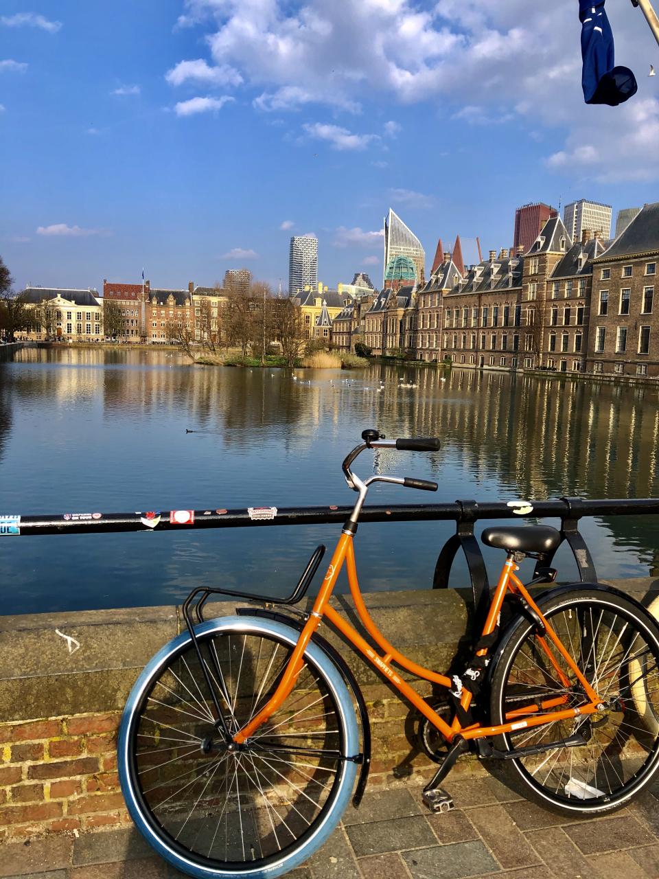 這輛單車孤零零的杵在湖畔，是跟你一樣在欣賞湖景吧。