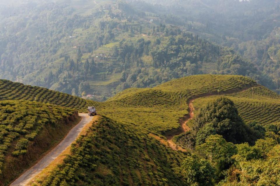 Winding roads along mountain slopes such as this one in Darjeeling form the landscape of V3 Gourmet CEO Taha Bouqdib’s annual pilgrimage to ensure sustainability from farming to retail