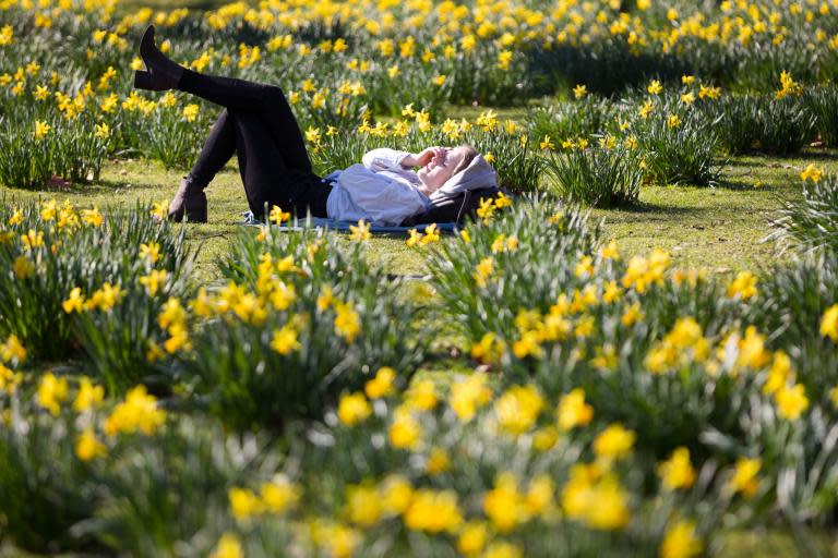 UK weather forecast: Britain set for 17C highs as warm weather returns to London following heavy rain