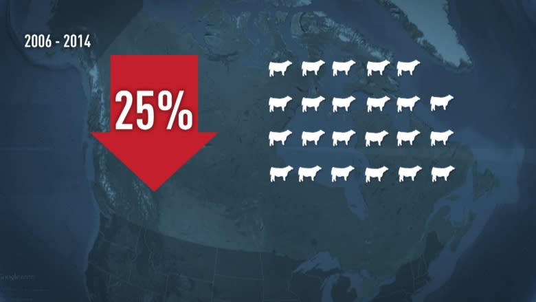 Beef, cattle prices bounce back to record highs