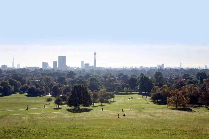 Primrose Hill in Regents Park