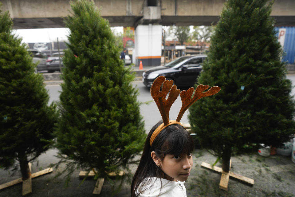 Una niña, con una diadema con cuernos de reno, compra un árbol de Navidad con su familia en el mercado de Jamaica, en la Ciudad de México, el 14 de diciembre de 2023. (AP Foto/Fernando Llano)