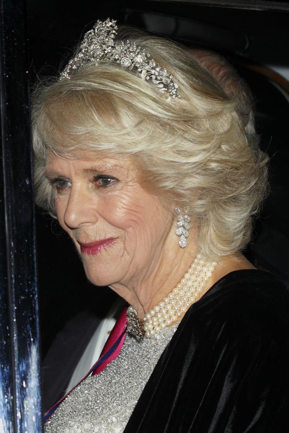 <p>Camilla also chose to wear the Cubitt Tiara to the annual diplomatic reception at Buckingham Palace in 2014. It paired well with her sparkly dress and other pieces of diamond jewelry.<br></p>