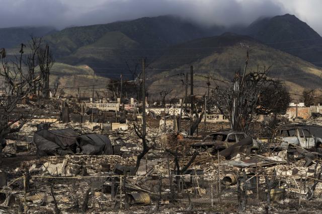 Maui Rippers, The impact of the wildfire in Lahaina has been truly  overwhelming. We are utterly devastated for those who have lost their  homes, busines