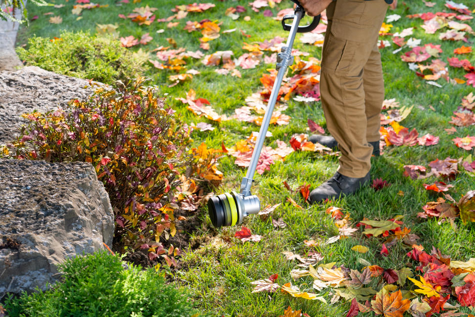 Using weedwhacker for fall lawn care 