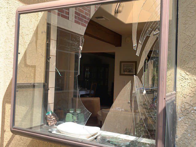 格蘭杜拉一隻大鳥撞進華人住家，將餐廳大玻窗撞個粉碎，玻璃濺滿屋子。（記者楊青／攝影）