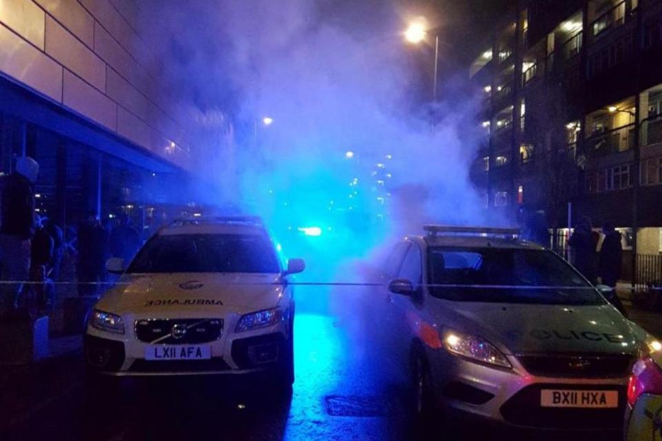 Riot: Police at the scene in Deptford