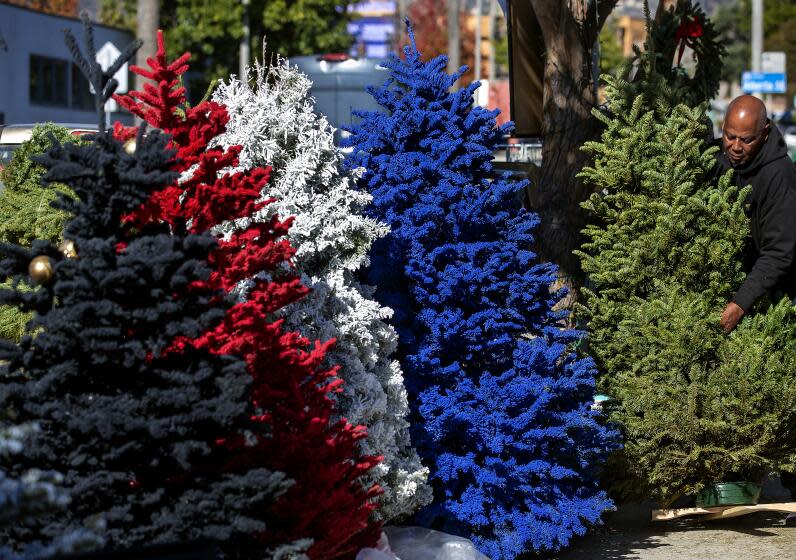 ALTA DENA, CA-DECEMBER 16, 2023:Wayne Nelson, 71, puts out another Christmas tree for sale on a sidewalk in front of his store on Lincoln Ave. in Alta Dena. Nelson said that he got special requests from some customers who wanted their tree flocked in a specific color. (Mel Melcon / Los Angeles Times)