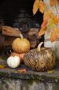 <p>Adding paint to an etched faux bois (the artistic imitation of wood) pumpkin helps the colors pop adding fun flair to this sophisticated pumpkin. Display on a covered porch next to the door or on a table.</p><p><strong>To make:</strong> Lightly sketch a faux bois pattern on a pumpkin with a pencil. Use a linoleum carving tool to etch out the pattern. Once complete paint unetched part of the pumpkin with acrylic paint. If you get any paint in the etched grain you can remove it up with the carving tool once dry.</p>