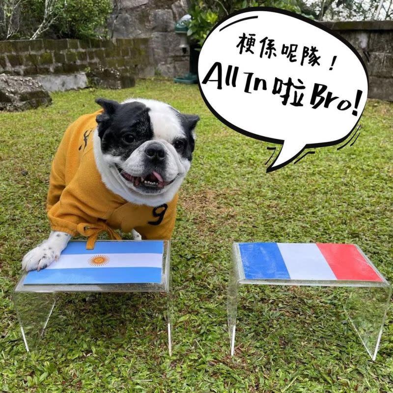 周星馳分享愛狗Kio預言世界盃冠軍的照片。（圖／翻攝ig）