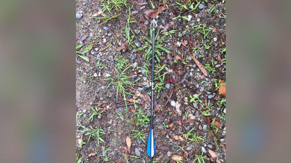 A crossbow arrow was found at the scene on Sunday. Source: Better Protection for the Morisset Psychiatric Hospital Kangaroos