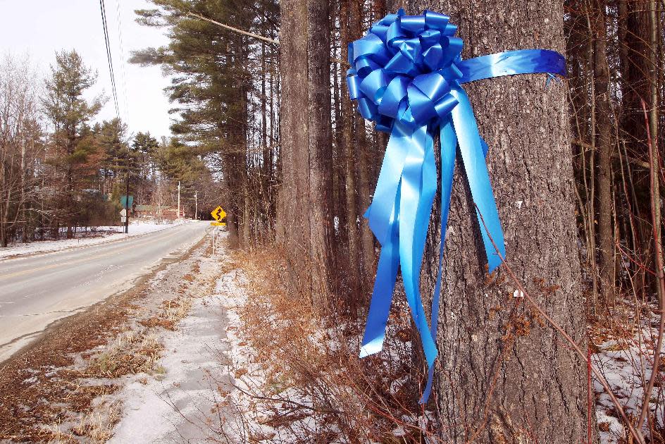In this Tuesday Feb. 4, 2014 photo, a recently hung ribbon hangs on a tree where Maura Murray was last seen after crashing her car in Haverhill, N.H. Ten years ago, the Massachusetts college student drove off the road in the rural section of Haverhill in northern New Hampshire and hasn't been seen since. She left a tormented family, vexed investigators and a case rife with rumor and innuendo. (AP Photo/Jim Cole)