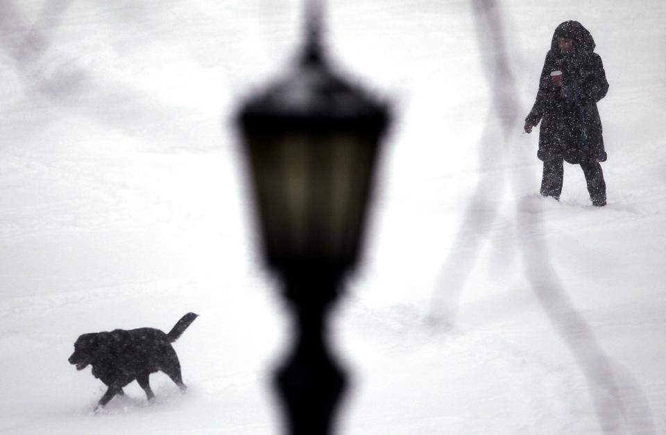 A woman and her dog walk through Trinity Bellwoods park during a snow storm in Toronto, December 14, 2013. Approximately 15 to 20 cm of snow may fall by Sunday morning for areas near the Lakeshore in Toronto and Mississauga, according to weather forecaster Environment Canada. REUTERS/Aaron Harris (CANADA - Tags: ANIMALS ENVIRONMENT SOCIETY TPX IMAGES OF THE DAY)