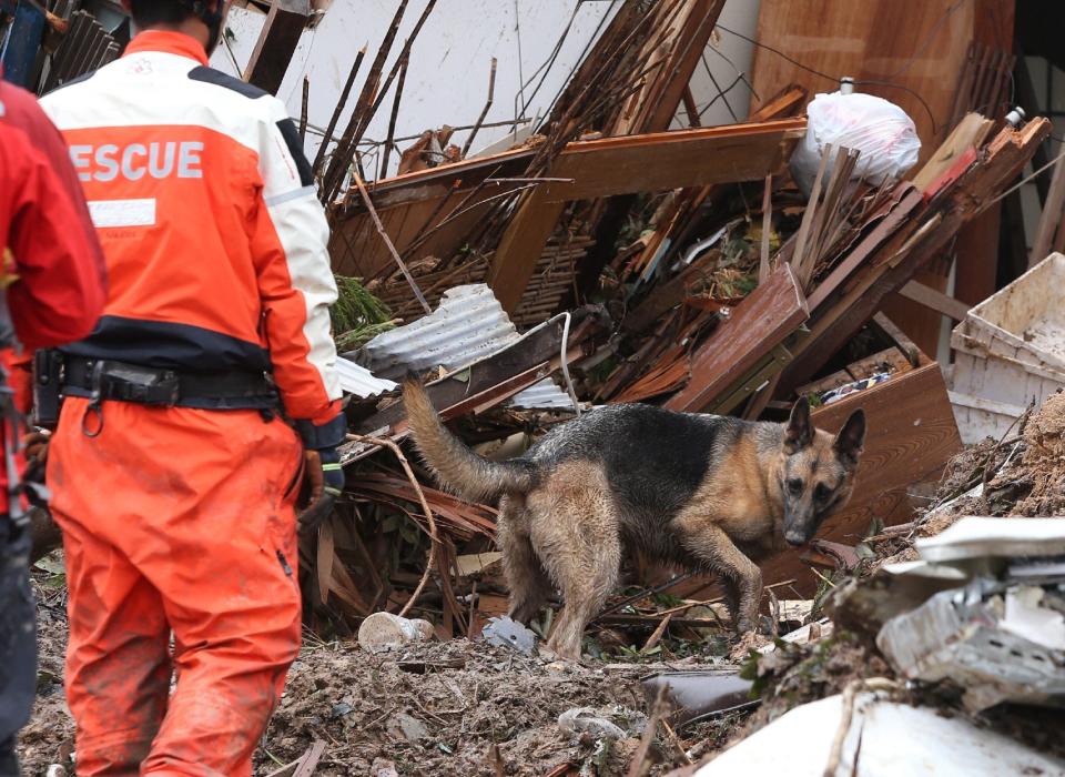 A dog and rescue workers search victims in collapsed house two days after a landslide hit a residential area in Hiroshima, western Japan on late August 22, 2014.  The death toll from catastrophic landslides in western Japan could more than double, a police tally showed August 22, as fears of a fresh collapse halted the search for 51 people still missing.   AFP PHOTO / JIJI PRESS    JAPAN OUT        (Photo credit should read JIJI PRESS/AFP/Getty Images)