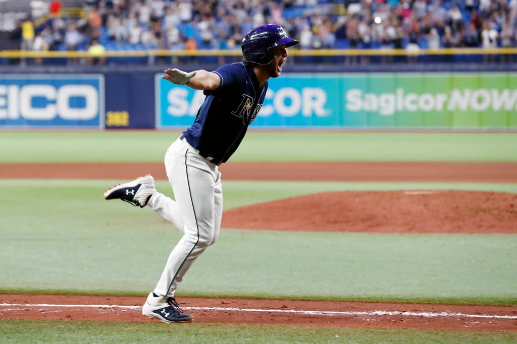 TIGRES-RAYS (AP)