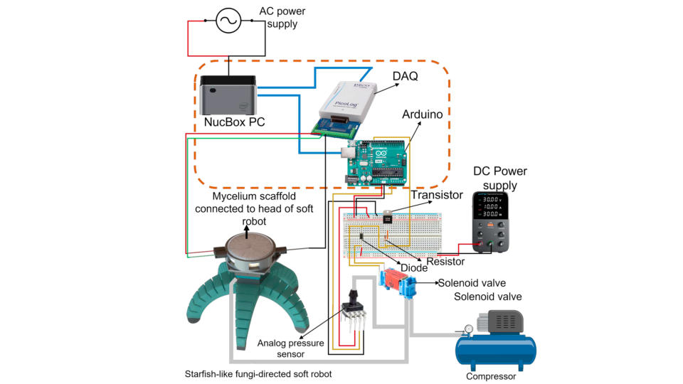 Diagram showing various parts of a complex fungus-robot hybrid