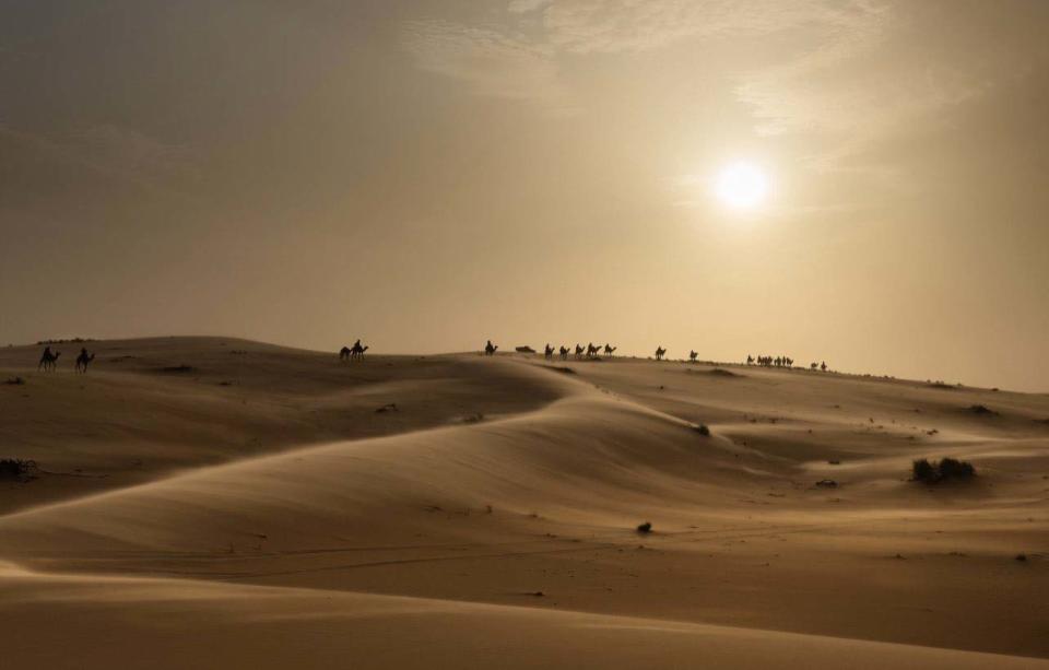 King Abdulaziz Camels Festival在沙特阿拉伯首都東北部沙漠舉辦，旨在保護駱駝的傳統和遺產的價值。