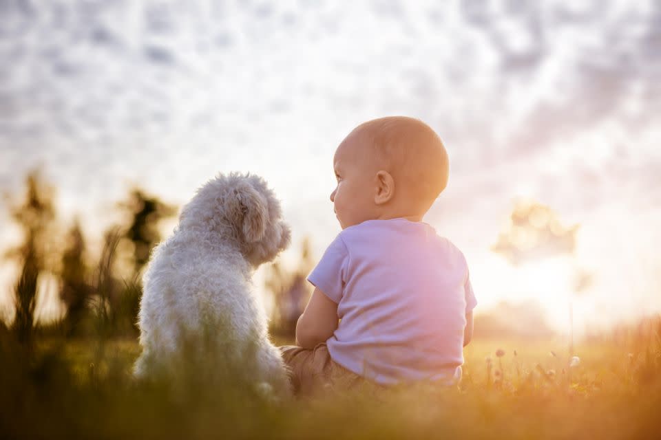 We want your dogs and babies to be best friends. Photo: Getty