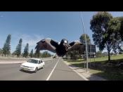 <p>Magpies harassing cyclists is a common sight in Australia, but this video makes us glad we've never crossed one of these birds. </p><p><a href="https://www.youtube.com/watch?v=_A7Gw217EJ4  " rel="nofollow noopener" target="_blank" data-ylk="slk:See the original post on Youtube;elm:context_link;itc:0;sec:content-canvas" class="link ">See the original post on Youtube</a></p>