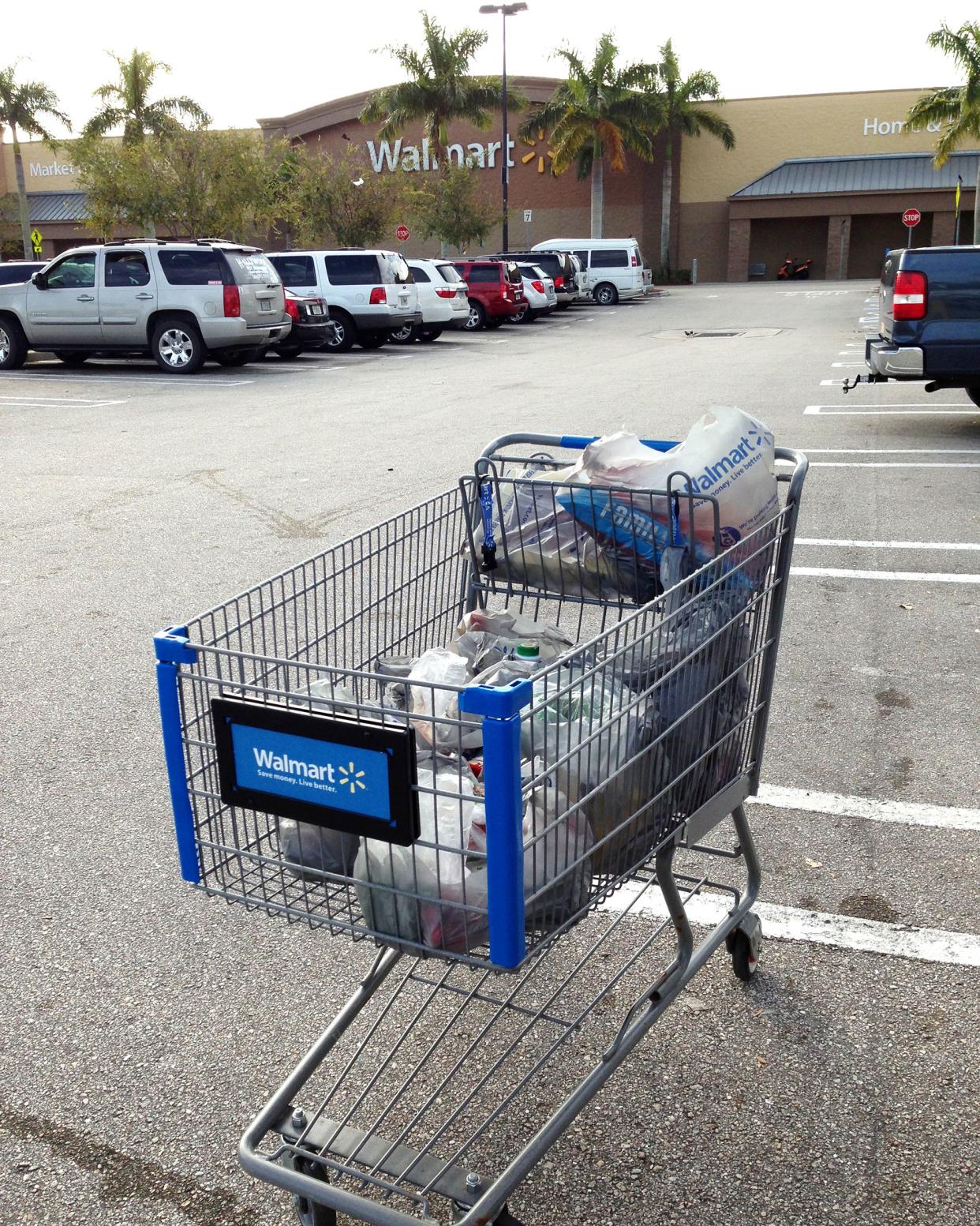 Walmart cart with groceries