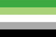 <p>The green in the aromantic flag represents those who do not form romantic attraction, while the gray and black represent all aromantic sexualities. </p>