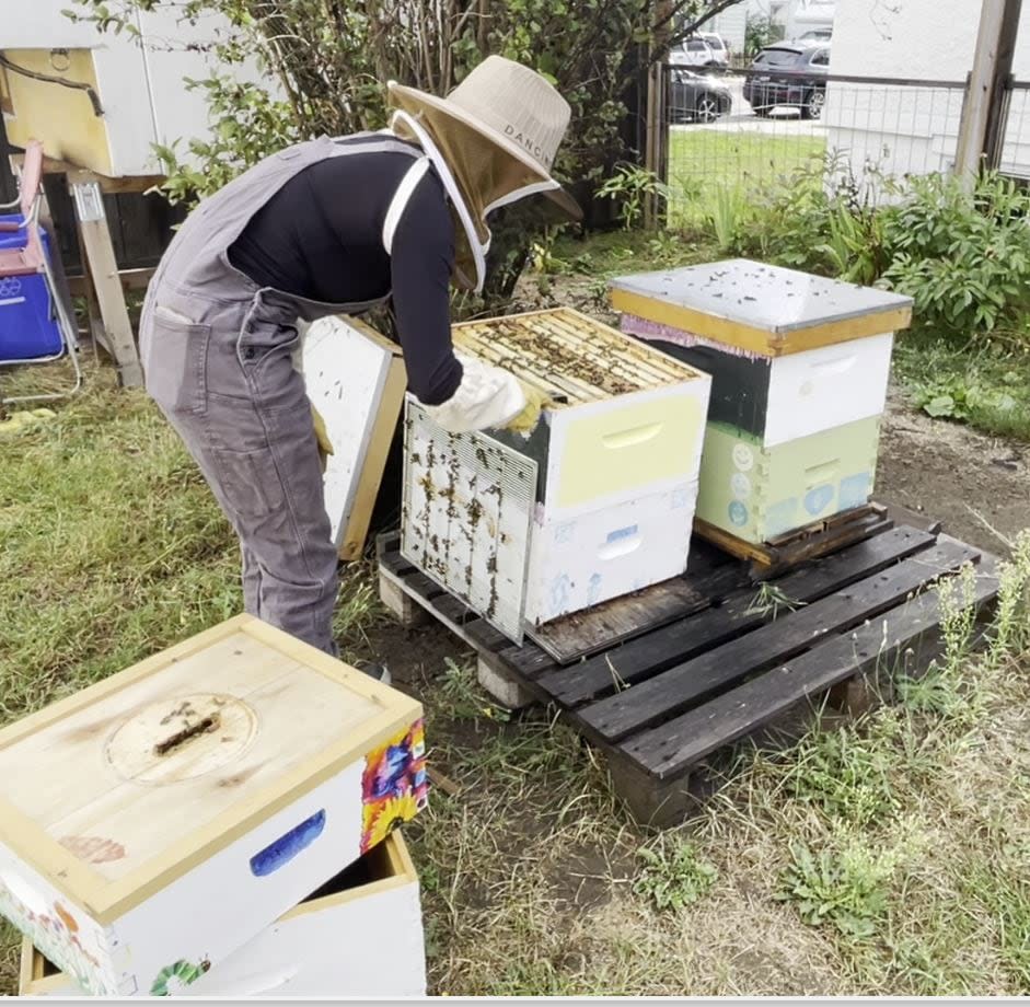 Nora Hughes is learning how to keep honeybees. Her backyard isn't big enough for the hives, according to the city's proposed rules. 