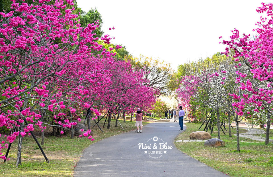 台中｜中科崴立櫻花公園