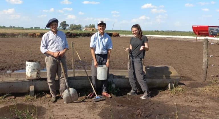 Los jóvenes siembran pasturas y verdeos de invierno; poseen un rodeo 800 madres y la carga por hectárea es de dos animales