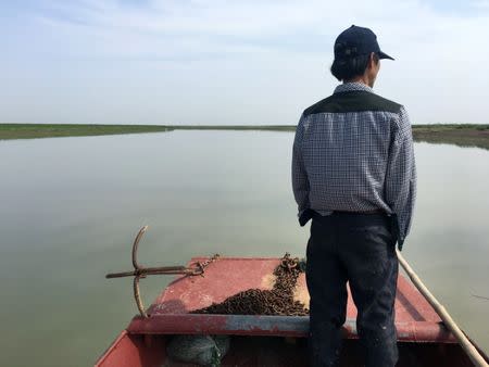 Yuan Wenbin, a volunteer bird rights activist, steers a boat through the reed beds of Poyang lake in Jiangxi province, China March 23, 2018. Picture taken March 23, 2018. REUTERS/James Pomfret