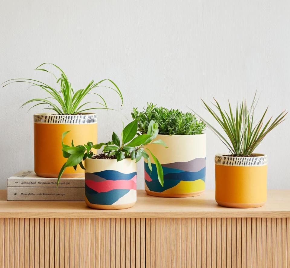 Ultralight Dreams Indoor terracotta planters (Image: West Elm)