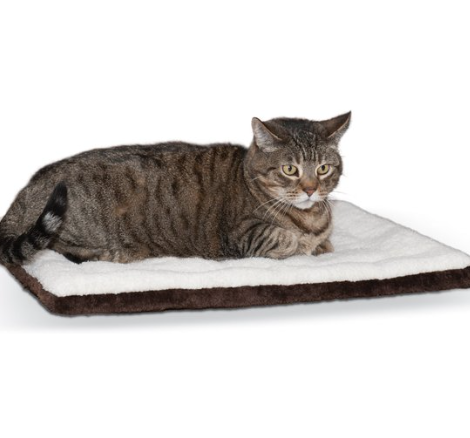 <p><a href="https://go.redirectingat.com?id=74968X1596630&url=https%3A%2F%2Fwww.chewy.com%2Fkh-pet-products-self-warming-pad%2Fdp%2F128079&sref=https%3A%2F%2Fwww.countryliving.com%2Fshopping%2Fg41715199%2Fblack-friday-cyber-monday-pet-deals%2F" rel="nofollow noopener" target="_blank" data-ylk="slk:Shop Now;elm:context_link;itc:0;sec:content-canvas" class="link ">Shop Now</a></p><p>Self-Warming Pet Pad</p><p>chewy.com</p><p>$12.99</p><span class="copyright">Chewy</span>