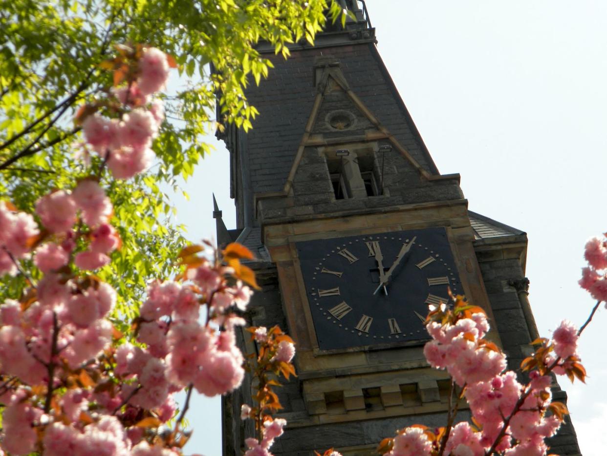 clock tower framed by pink blossoms