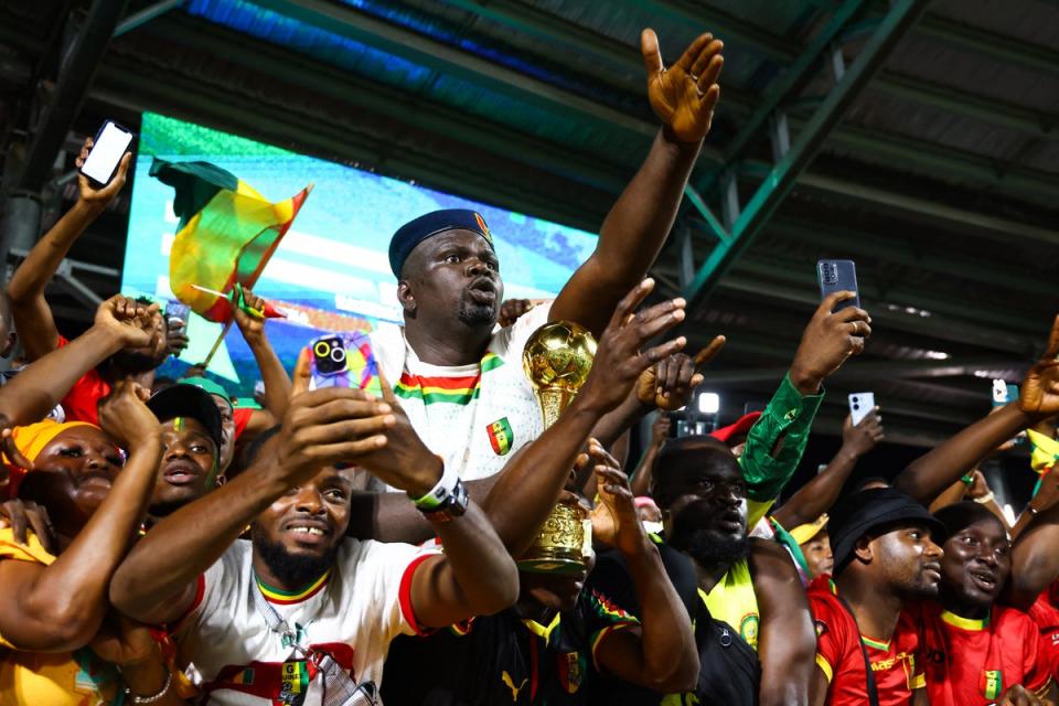 Guinea supporters cheer during their Afcon match against Gambia (AFP via Getty Images)